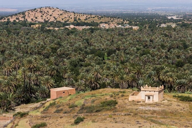 Visit Taroudant and Tiout 1 day From Agadir - Taroudant’s Old Medina: Souks, Souvenir Browsing, and Real Streets