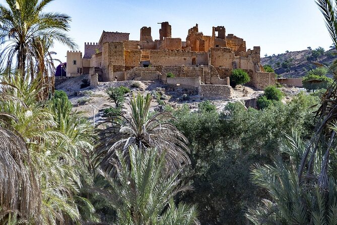 Visit Taroudant and Tiout 1 day From Agadir - Tiout Oasis: Palm Grove Calm and the Kasbah View