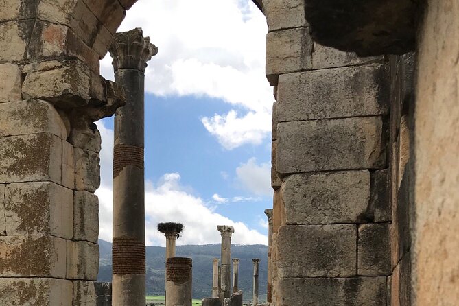 Volubilis, Moulay Idriss and Meknes Day Trip from Fez - Stop 2: Moulay Idriss Zerhoun, the holy town pause, and those views