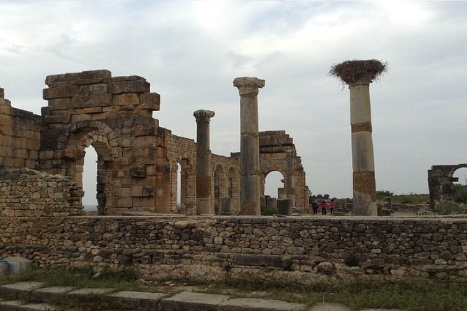 Volubilis, Moulay Idriss & Meknes Excursion from Fez - Price and value: is about $74 per person worth it?