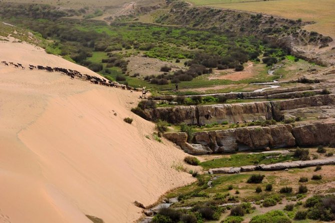 Walk between Argan Forest, Ocean & Waterfalls. 12 km - Key highlights to know before you go