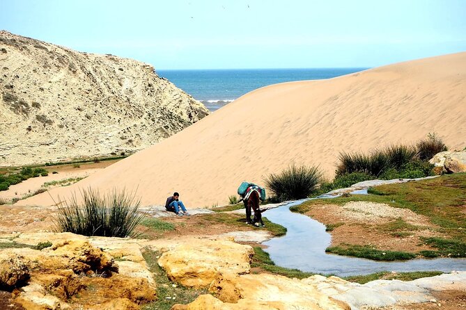 Walk to the cascade and marabout of Sidi Mbark & for a tea to Kaouki - Key points to know before you go