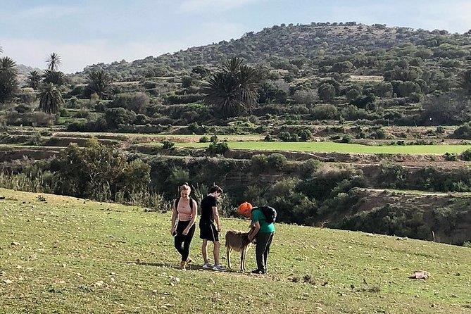 Walk to the cascade and marabout of Sidi Mbark & for a tea to Kaouki - Walking the route: what 3 hours really feels like