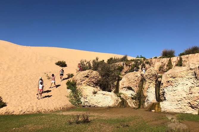 Walk to the cascade and marabout of Sidi Mbark & for a tea to Kaouki - Donkey option for kids, plus a kid-friendly way to pace the day