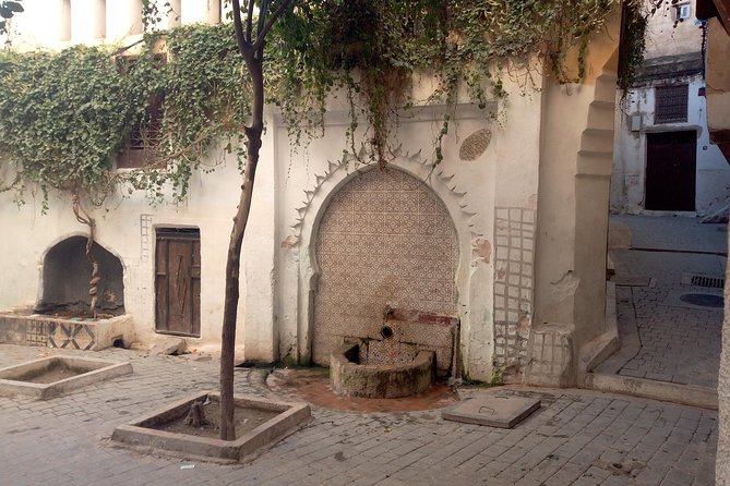 walking Tour in the oldest part of Fez (3-4 hours) - Bou Inania Medersa: Merinid Art and the 20 DH Entry Detail
