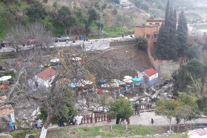 Walking Tour of Chefchaouen, the "Blue City" of Morocco - Full Day Tour - Coffee and tea included, lunch on your own