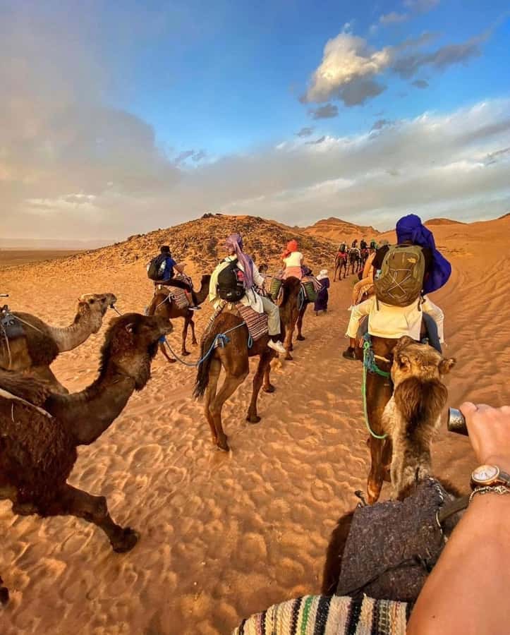 Zagora Desert: 2-Day 1-Night Desert Expedition to Remember - Atlas Roads, UNESCO Kasbah, and a Real Taste of Sahara Life