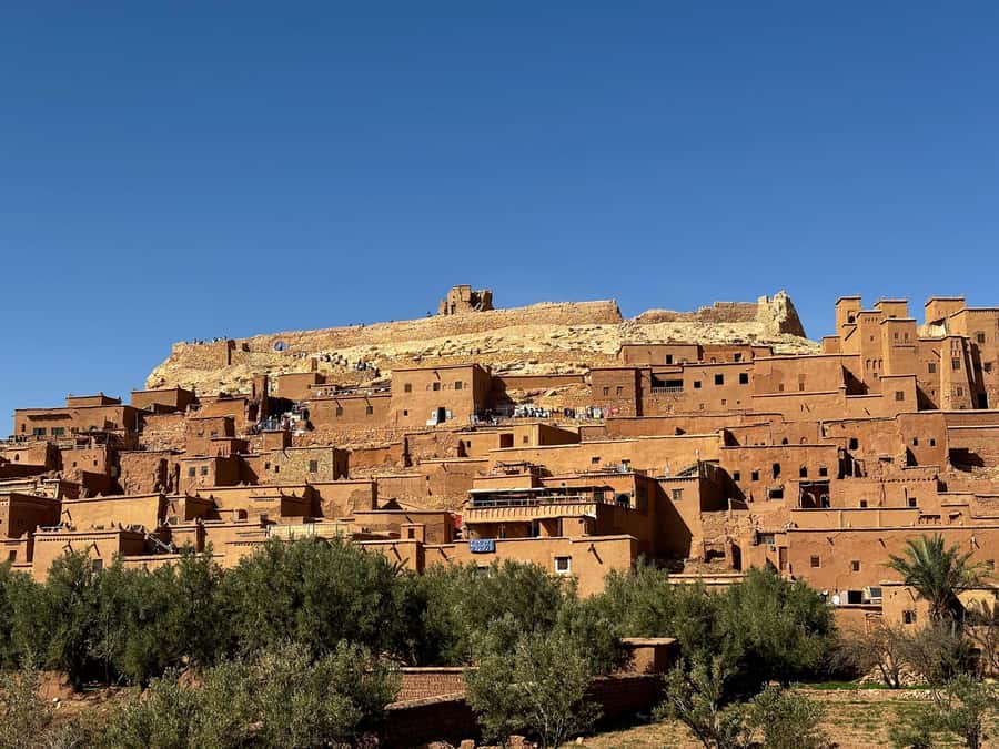 Zagora Desert: 2-Day 1-Night Desert Expedition to Remember - Who This Short Zagora Safari Is Best For